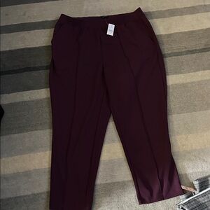 LOFT Women's Purple Pants